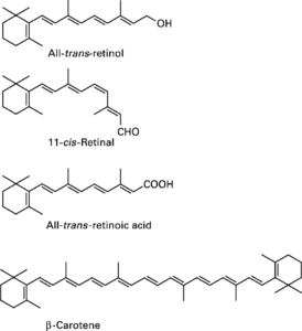 Cấu trúc các dạng vitamin A